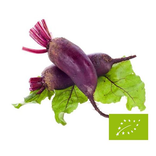 Bio burak podłużny ekologiczny - 1kg