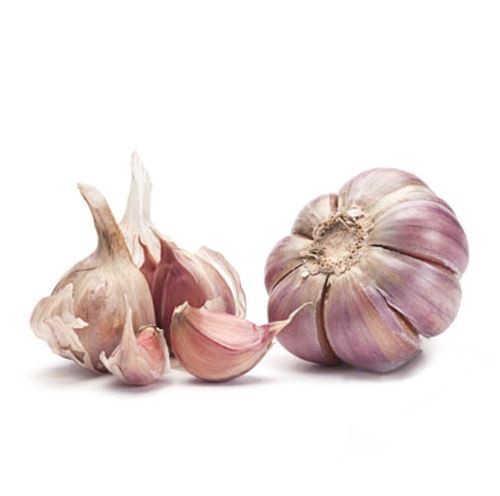 Czosnek ekologiczny 1 szt. bio-eko